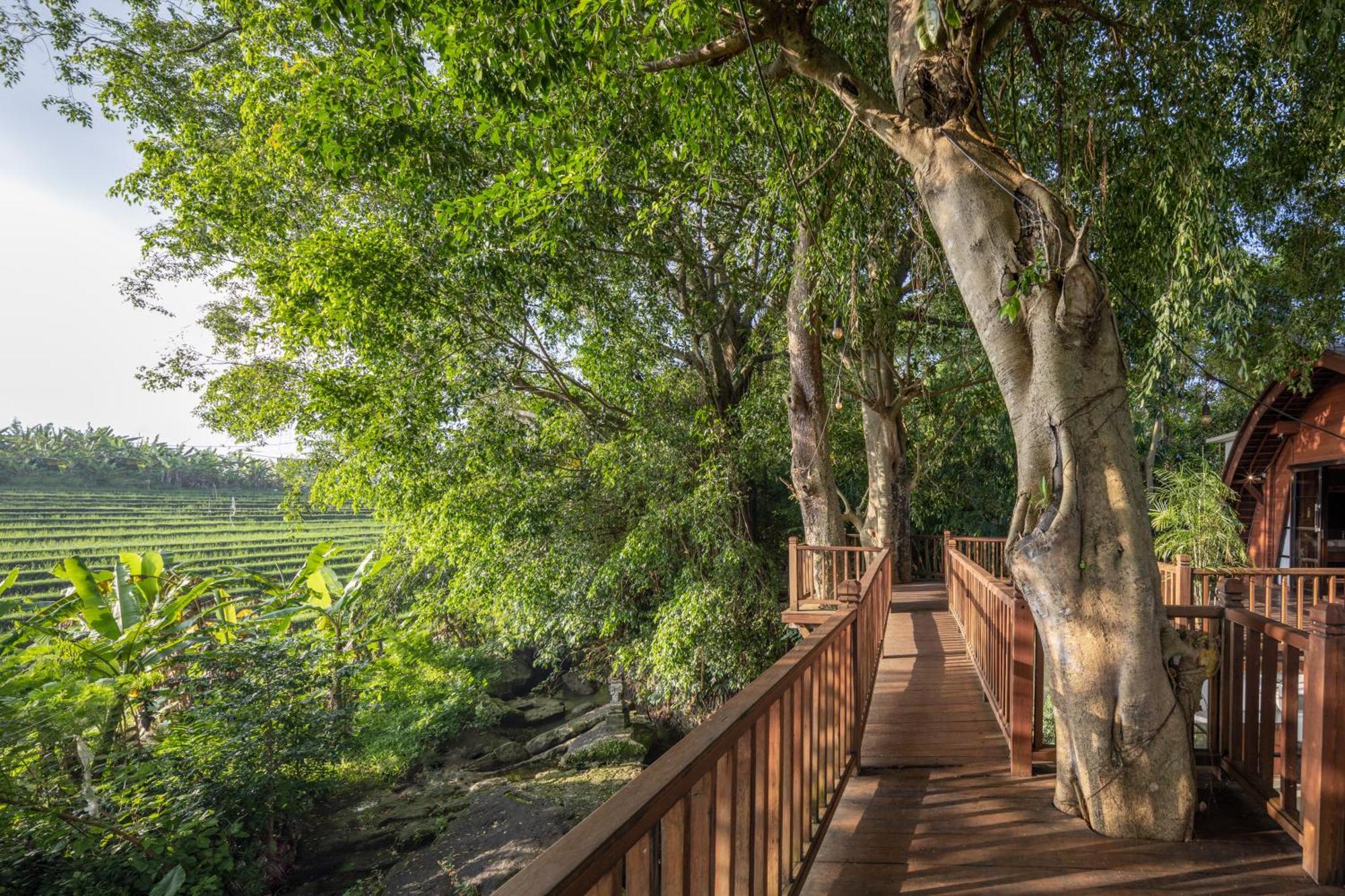 Paripadi Private Villa And Sanctuary Canggu  Luaran gambar